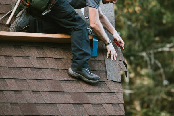 Best Roof Gutter Cleaning  in Maggie Valley, NC